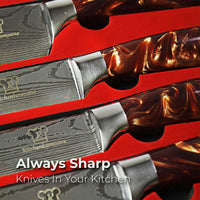 Kasshoku Knivset Premium