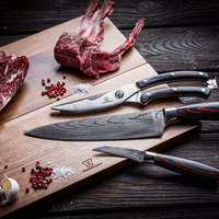 Outdoor knivset | 2-i-1